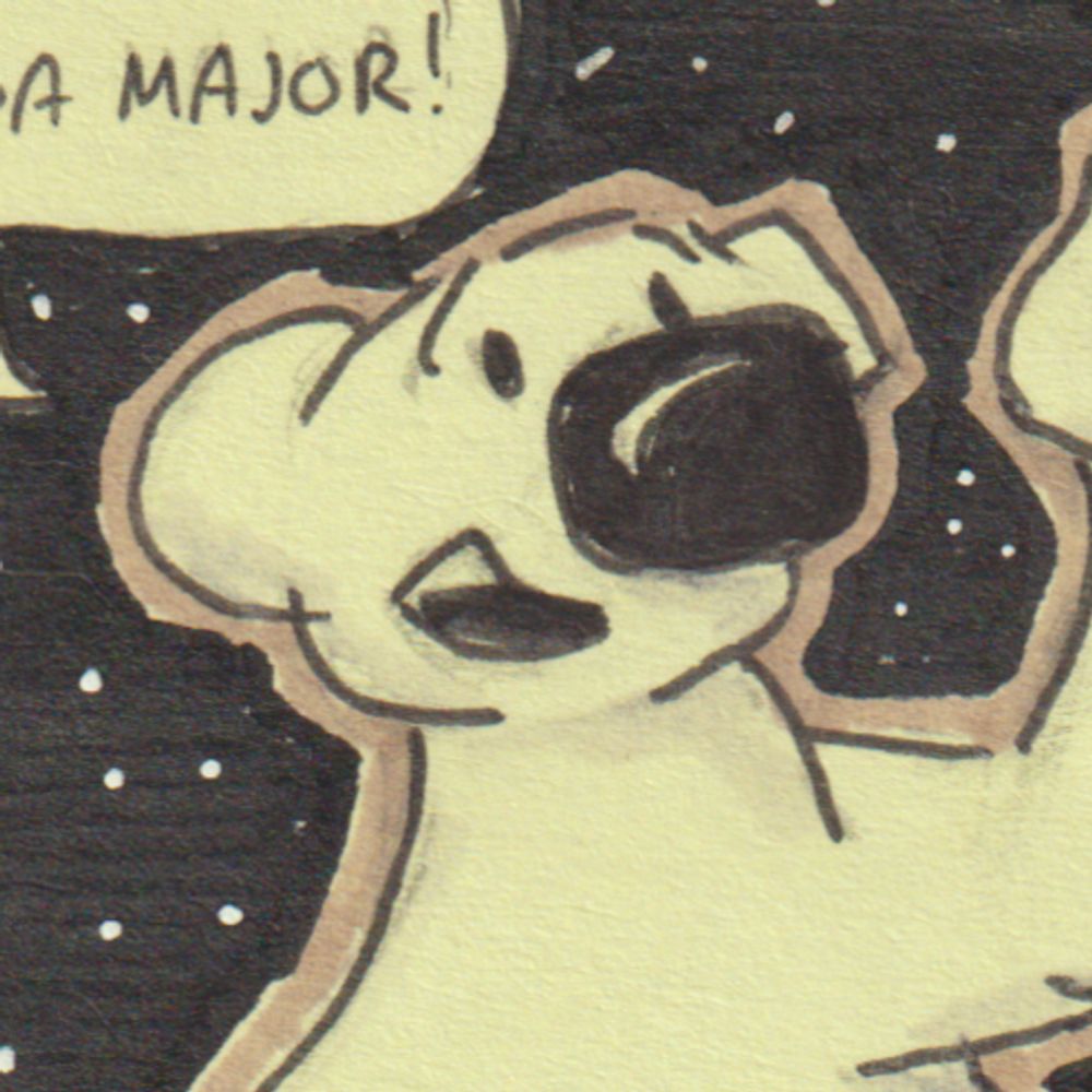 Coffee Bruin