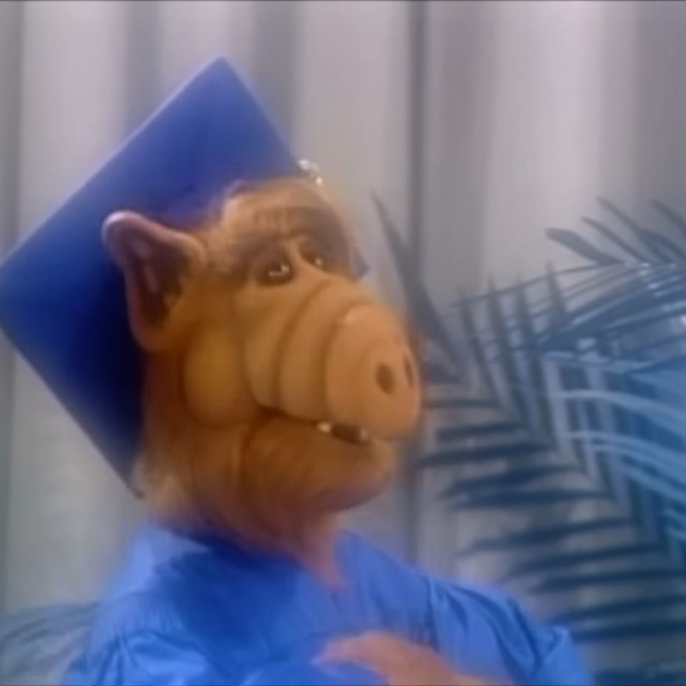 ALF Out Of Context