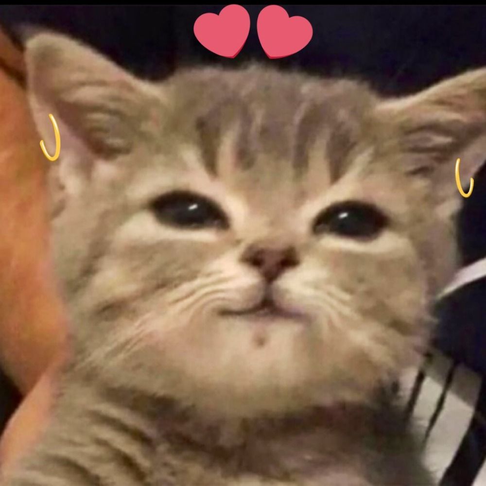 Mitigar