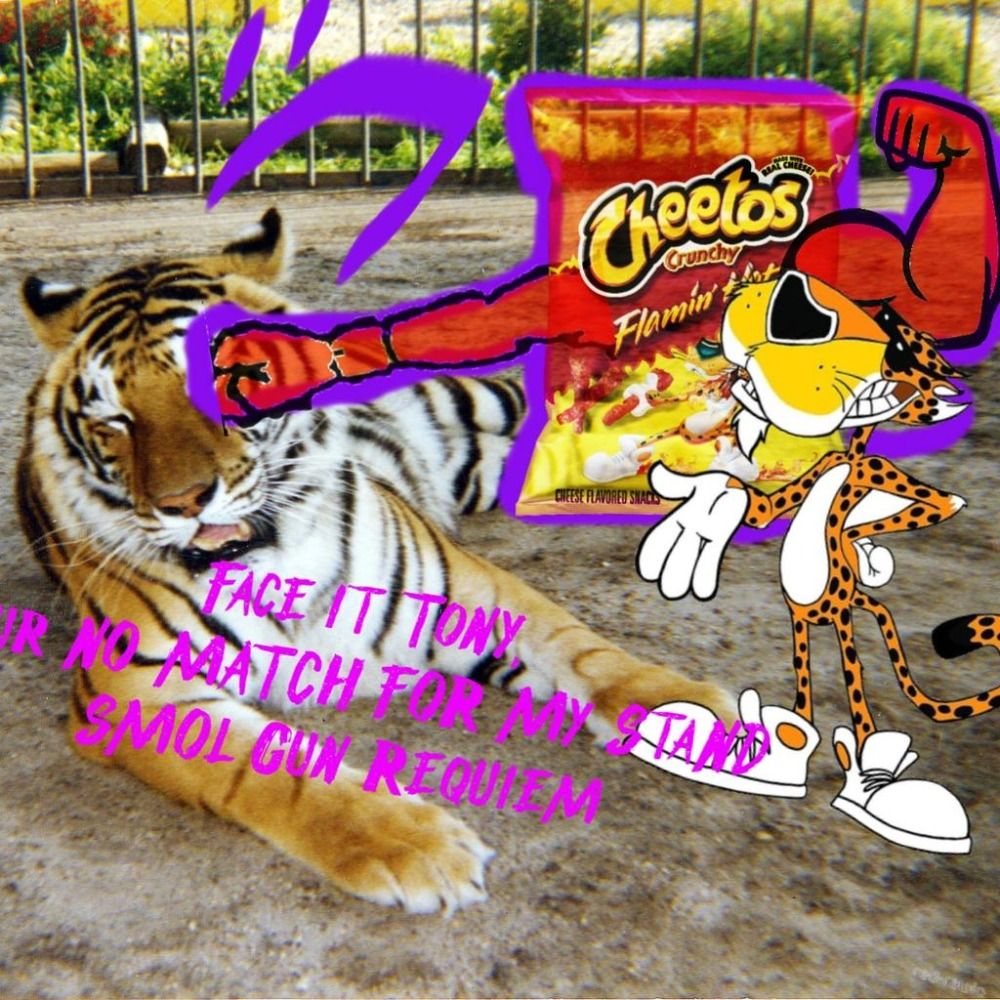 Cheetopuffs