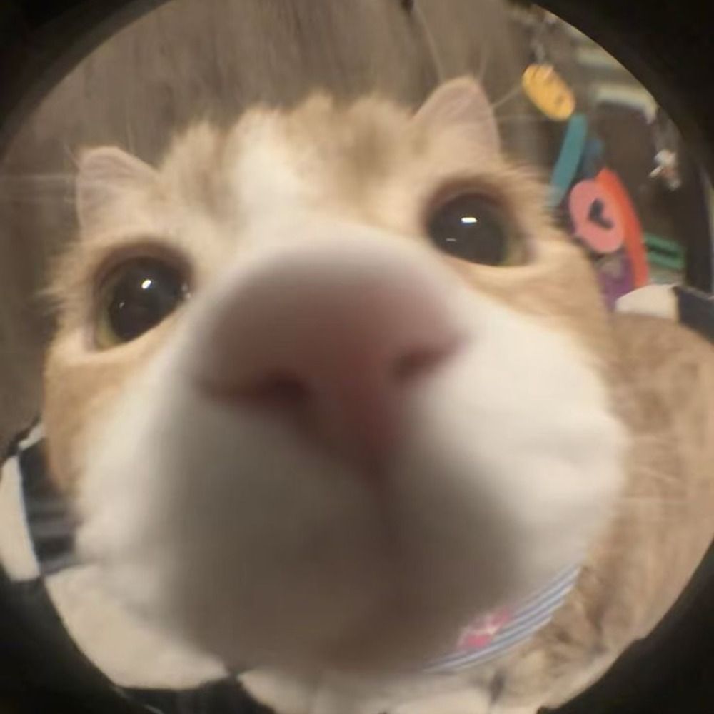 Hoyowor :⁠-⁠D