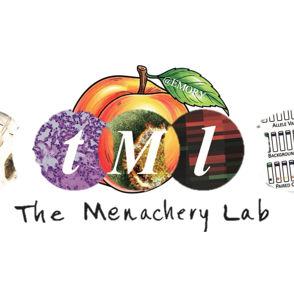 The Menachery Lab