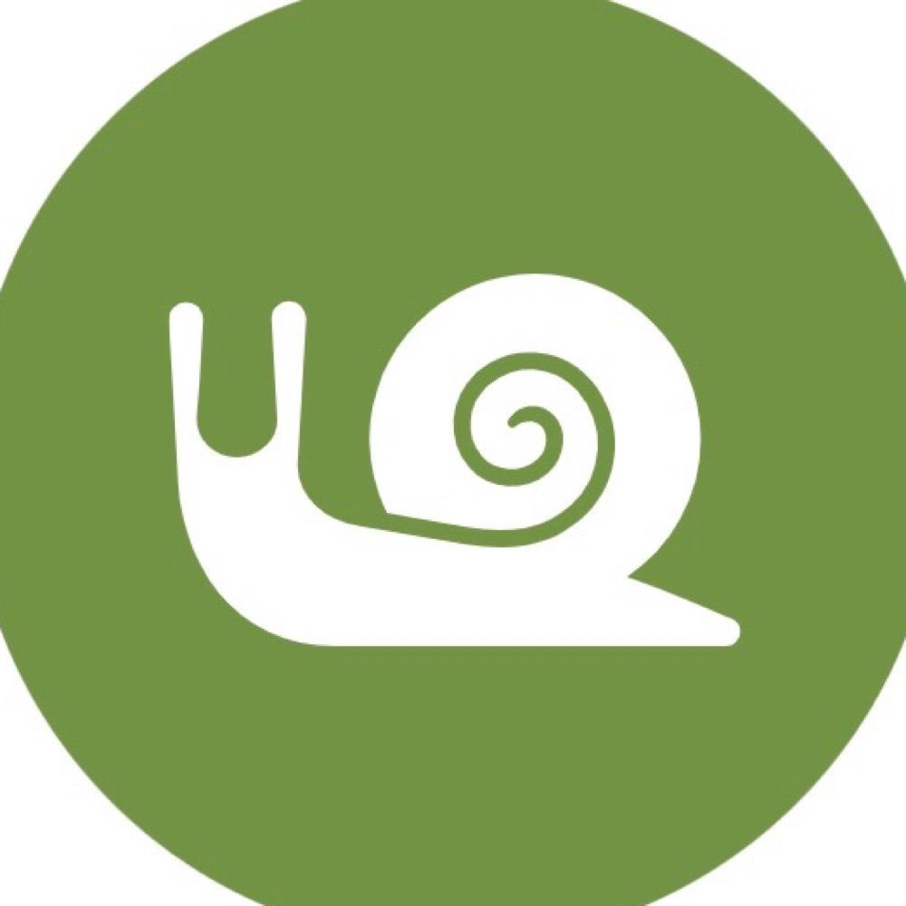 froggie and snail 🐸🐌