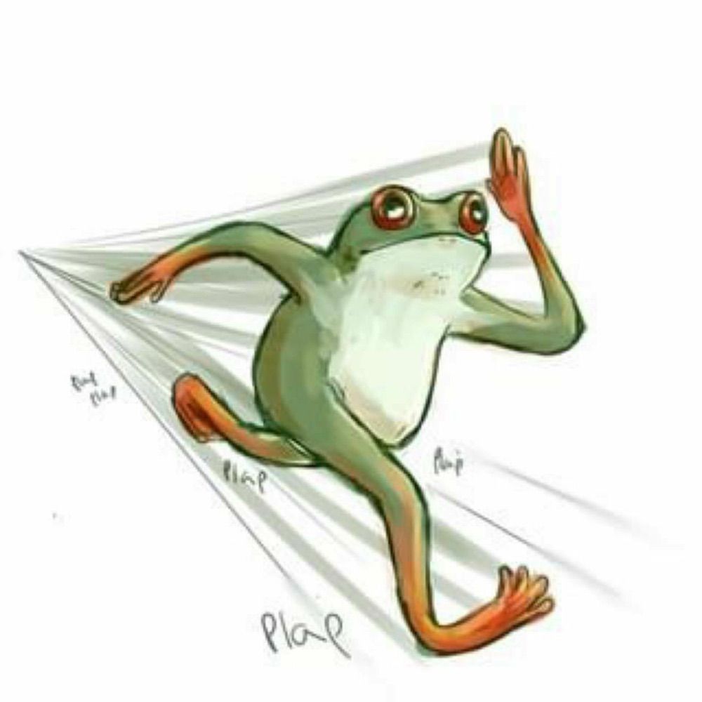 Froggy 🌟