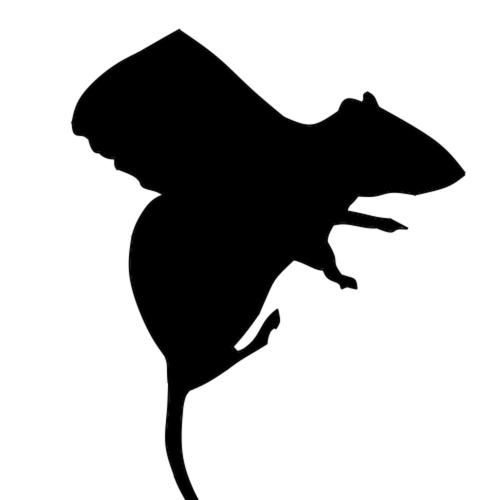 Rats with Wings