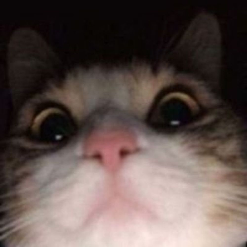 arizaa