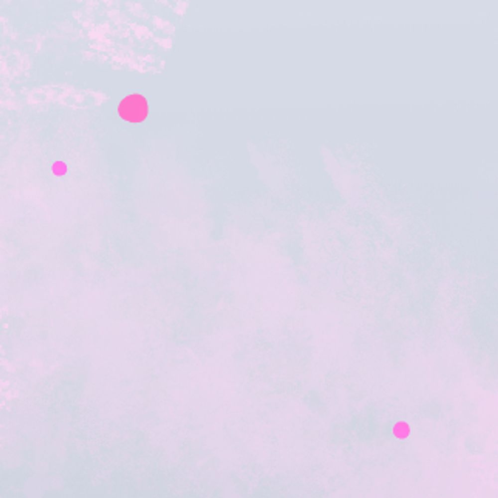 ✦𝒂𝒊𝒍𝒆𝒗𝒚✦