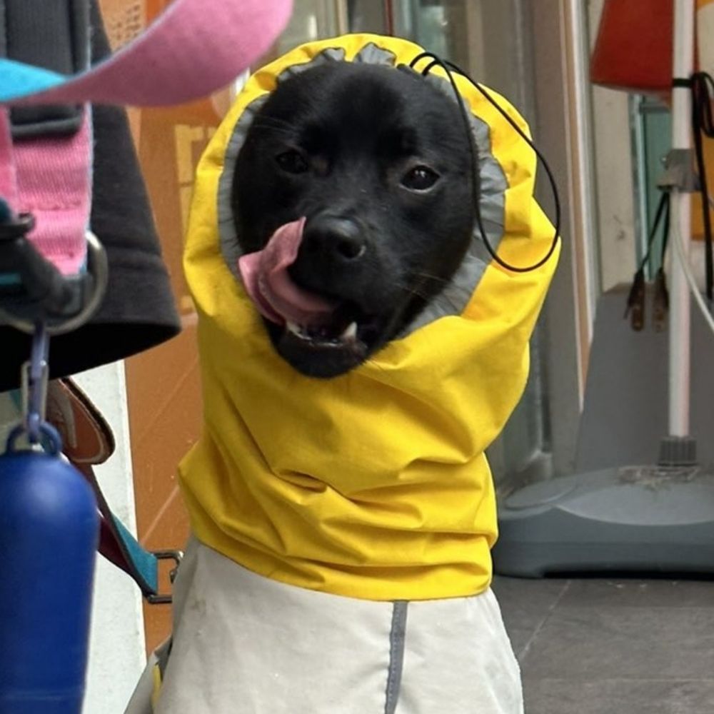 블략도그 나루