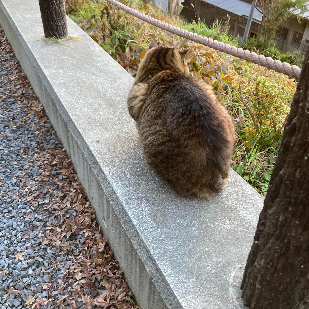 まるち