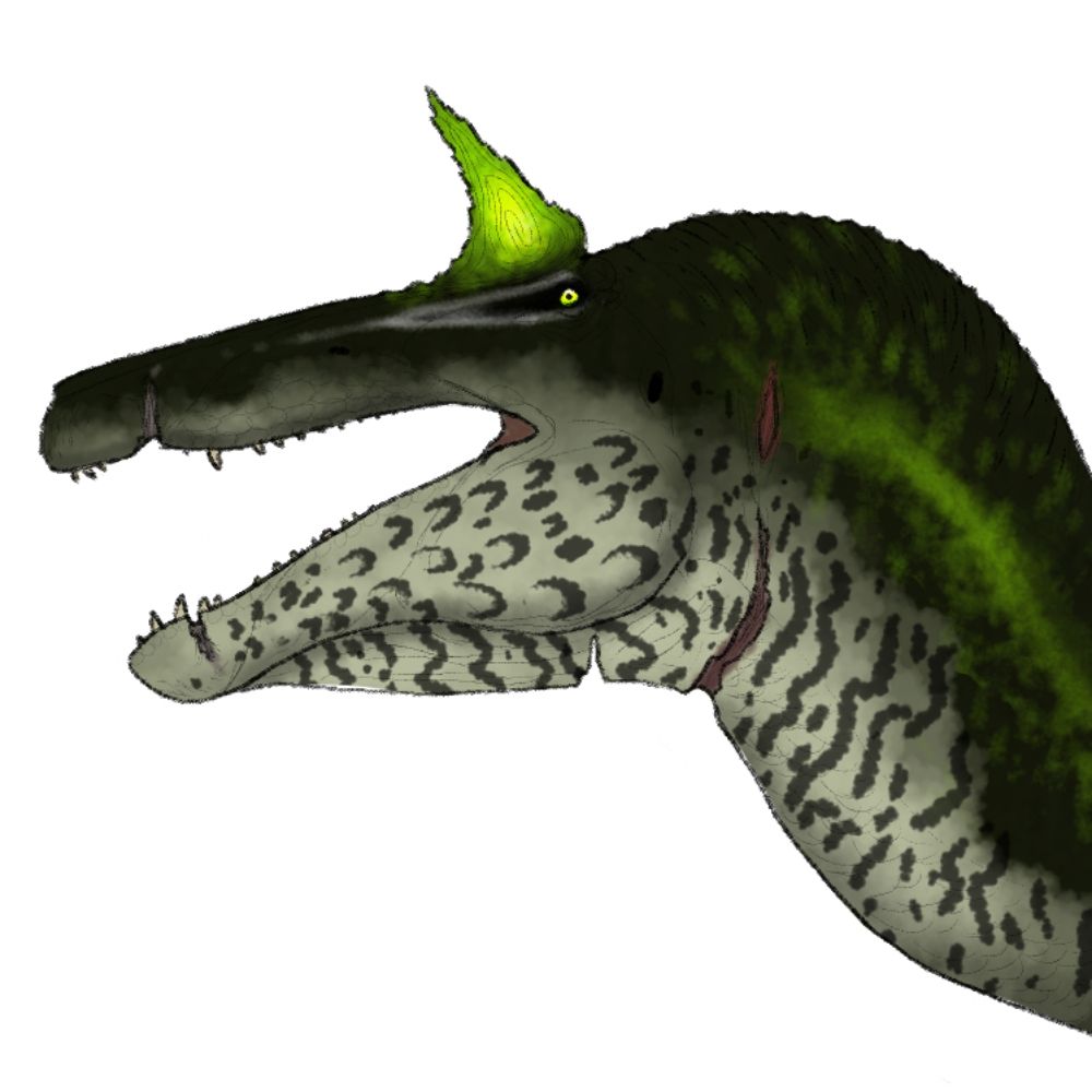 Palaeodon