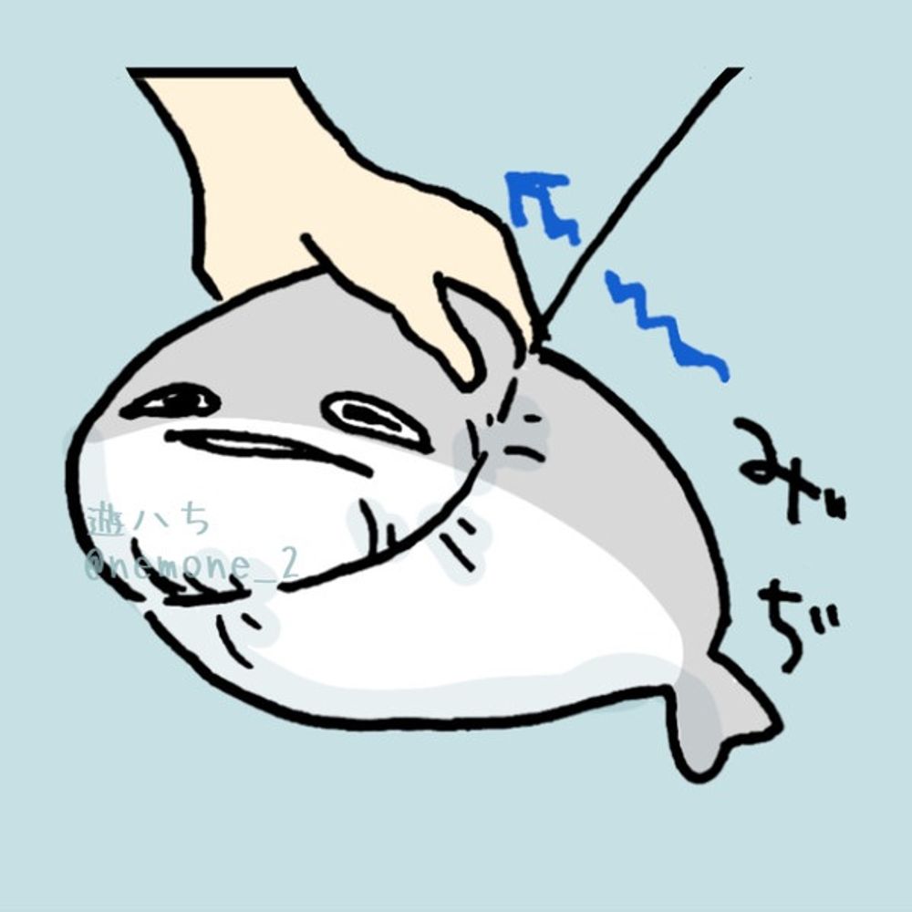 ねこ