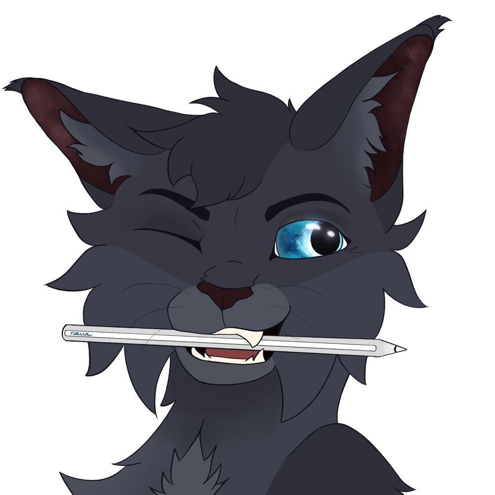 Nxva (comms open)