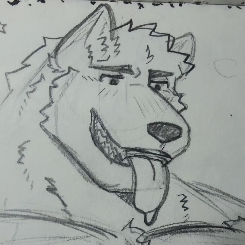badordin.bsky.social profile picture