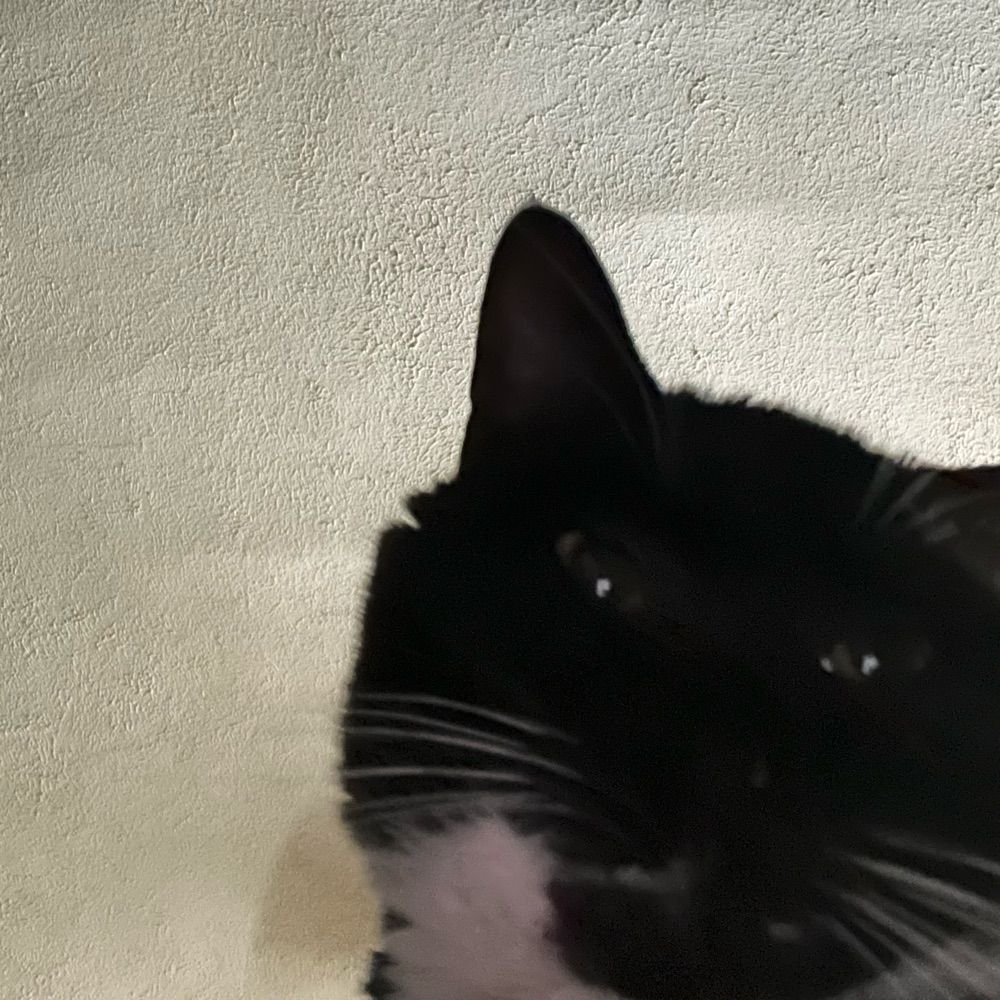 danny