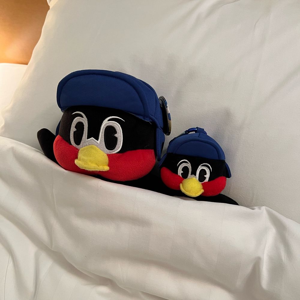 🪆つばみちゃん🧸