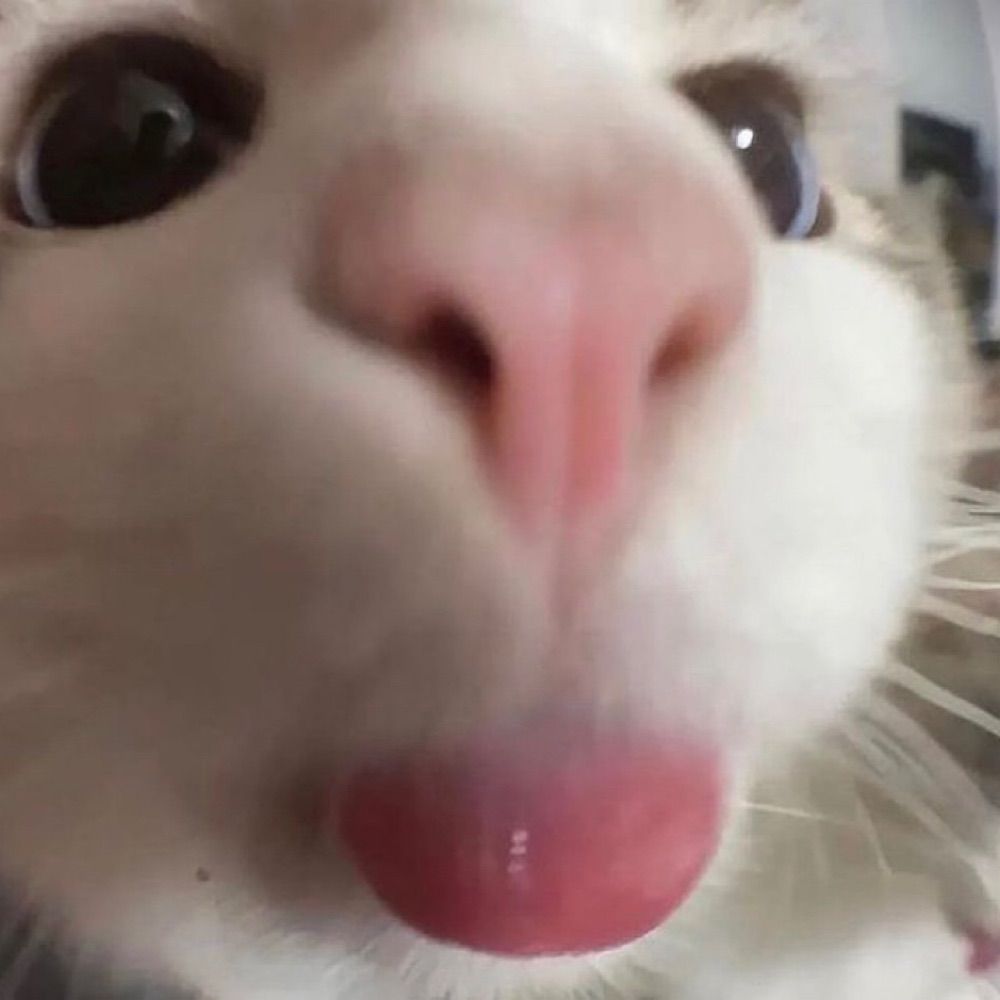 Kemi 