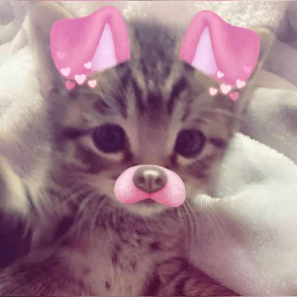 emma 🎀