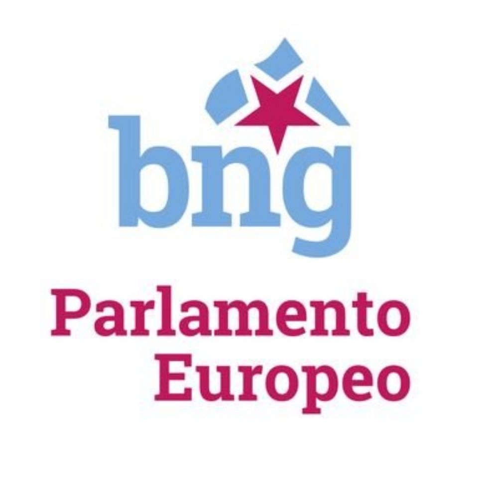 BNG Parlamento Europeo