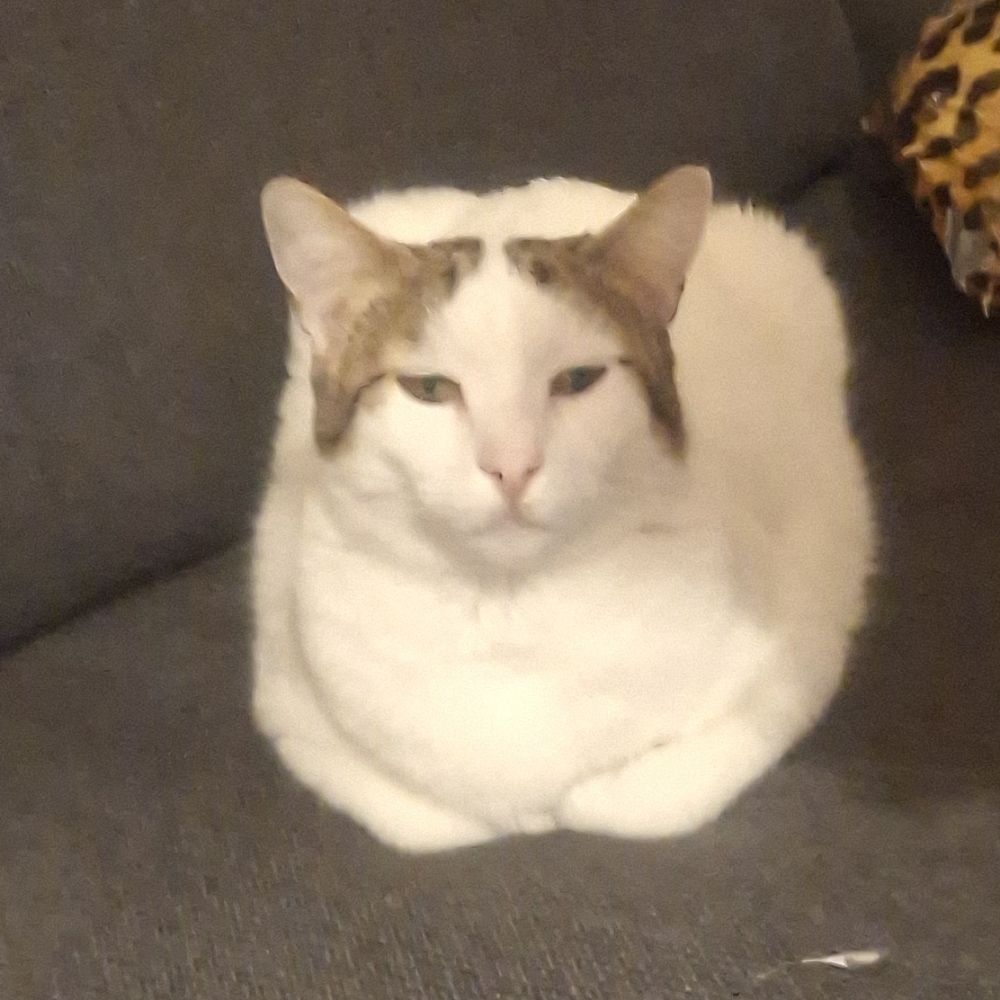 cucbit