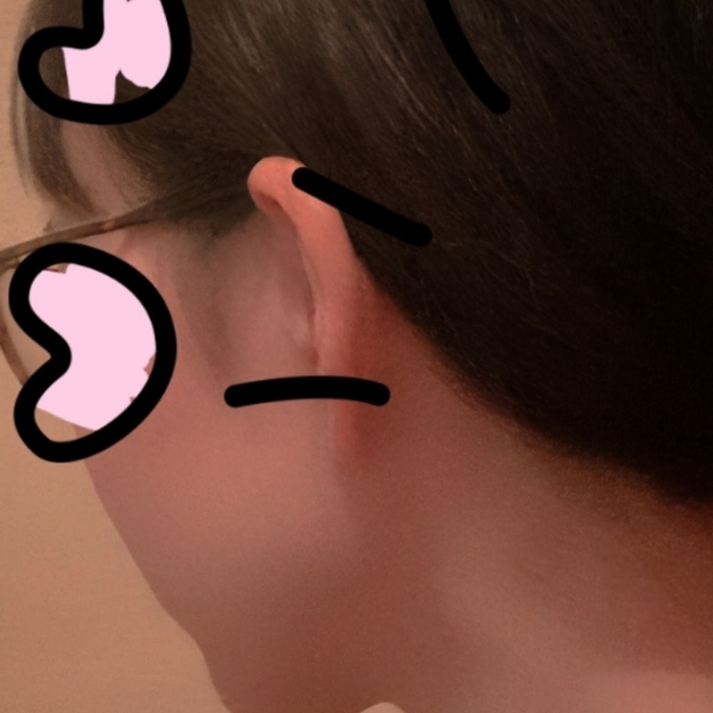 あかにゃ
