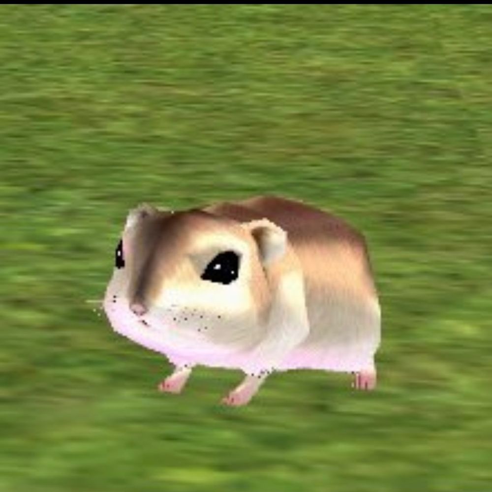 🐹류원