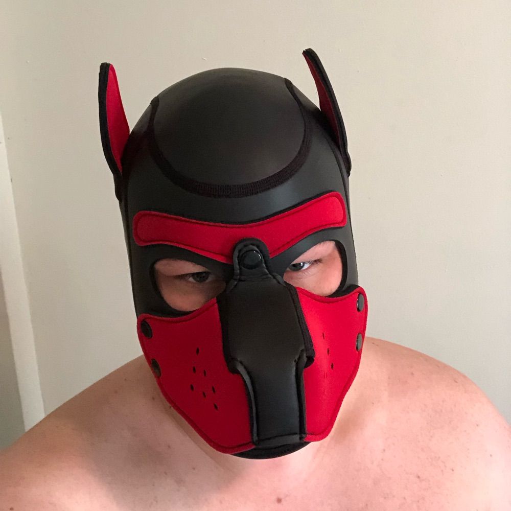 Pup/boy Ares