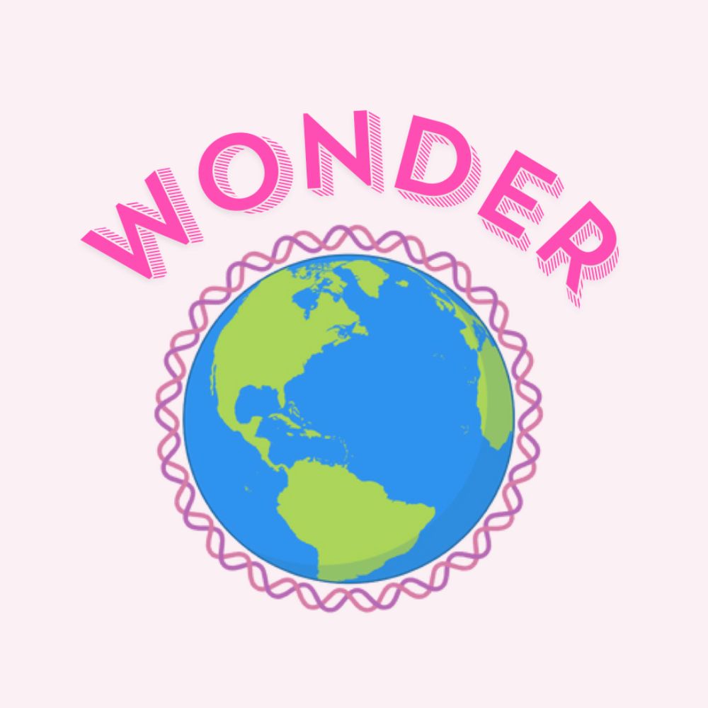 WONDER🧬
