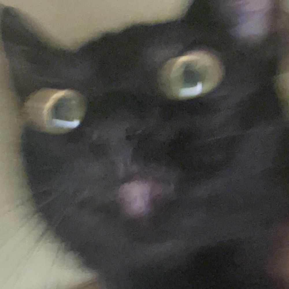 mayuhhhhhhhhhhhhh
