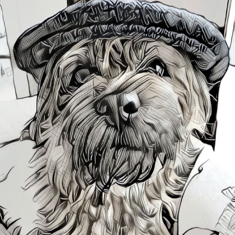 Margot the BT