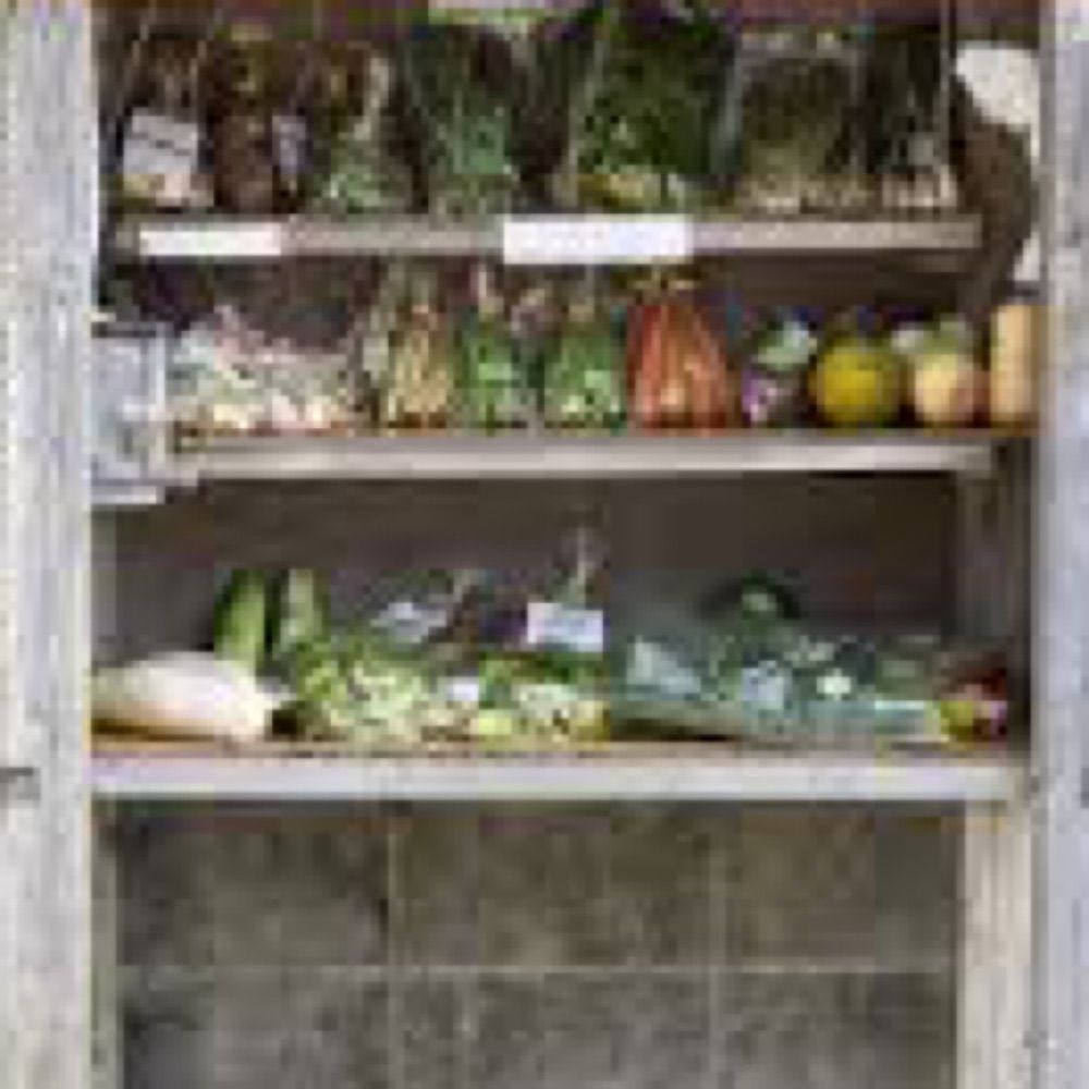ろき🎶ろき🎶🥬販売所