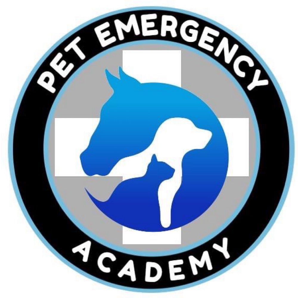 Pet Emergency Academy