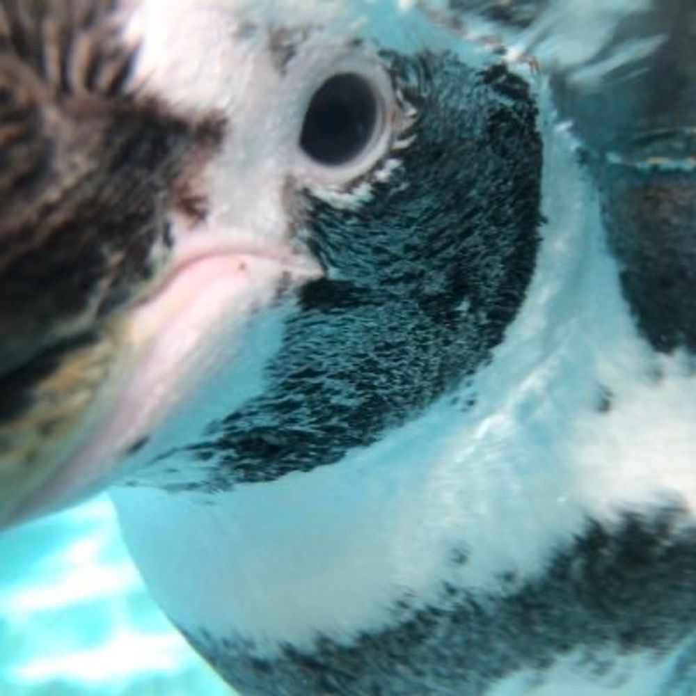 むっちー