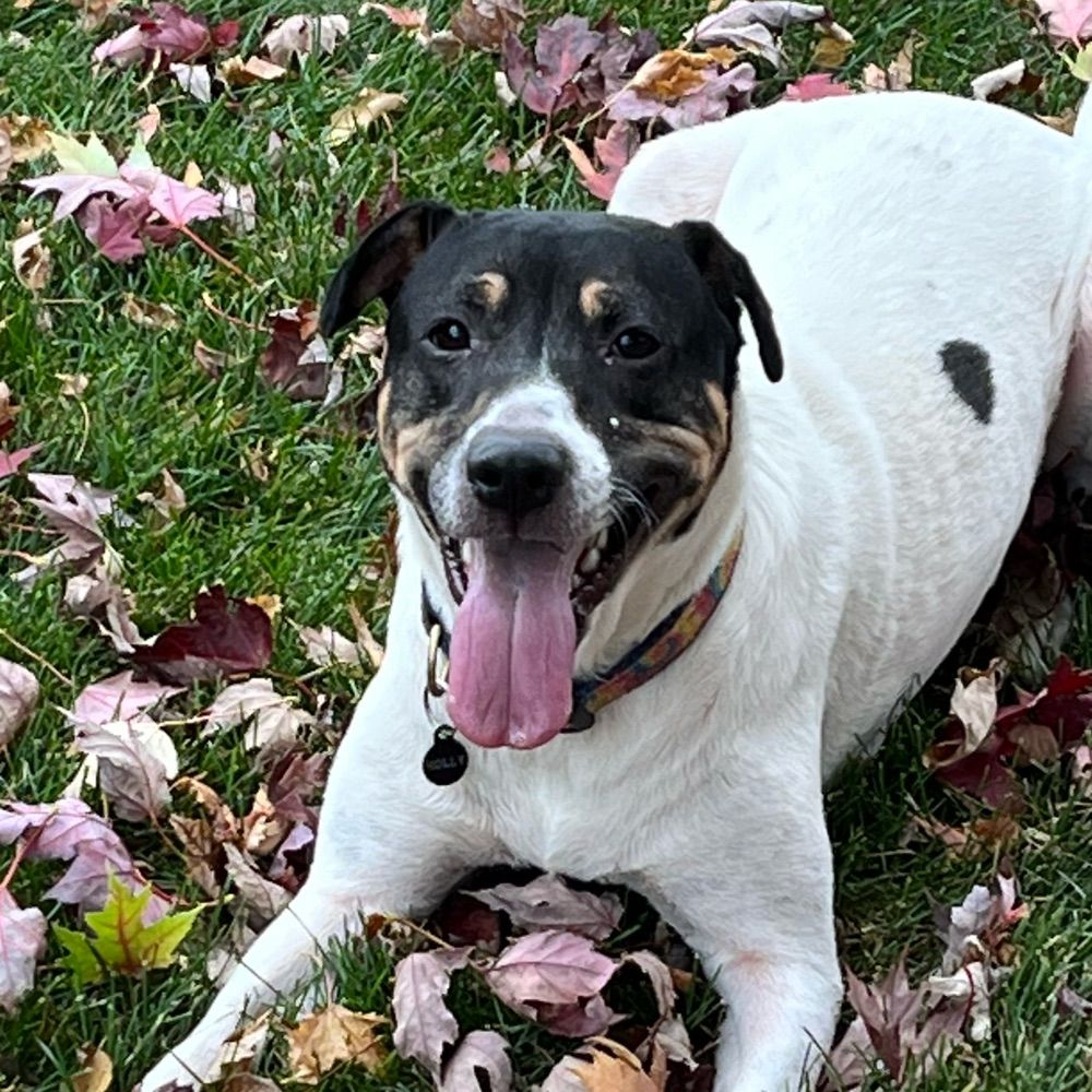 Lucy