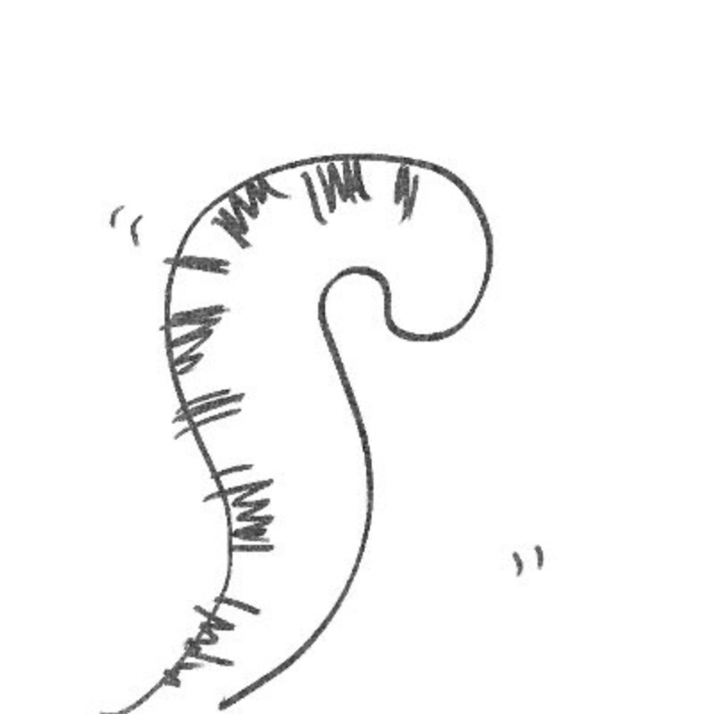 黒虎