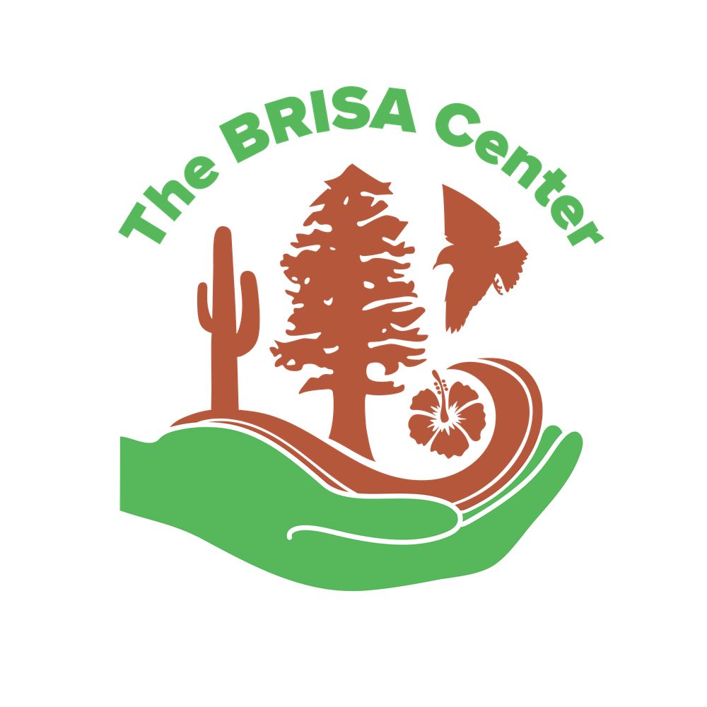 BRISA Center for the Environment