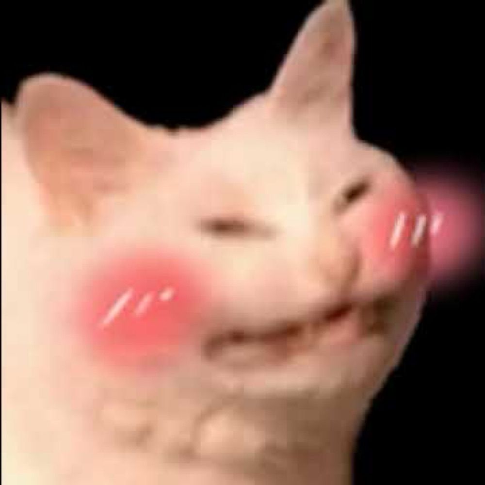 dvo