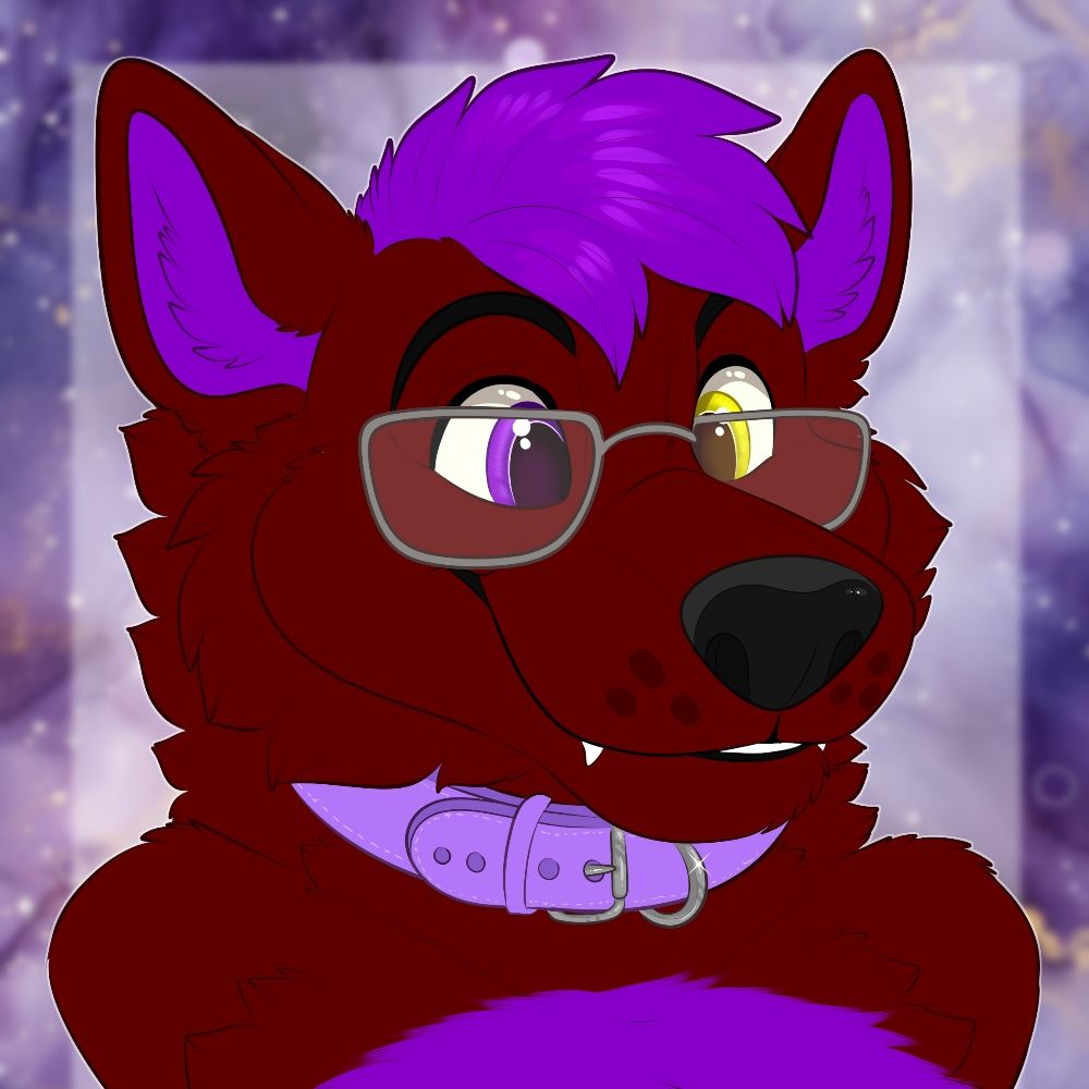 Boombox Husky