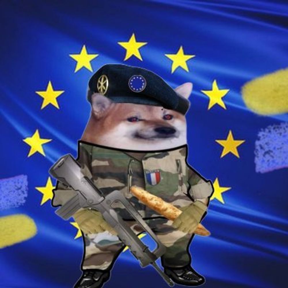FedEuroNafo 🇪🇺🇫🇷🇺🇦△