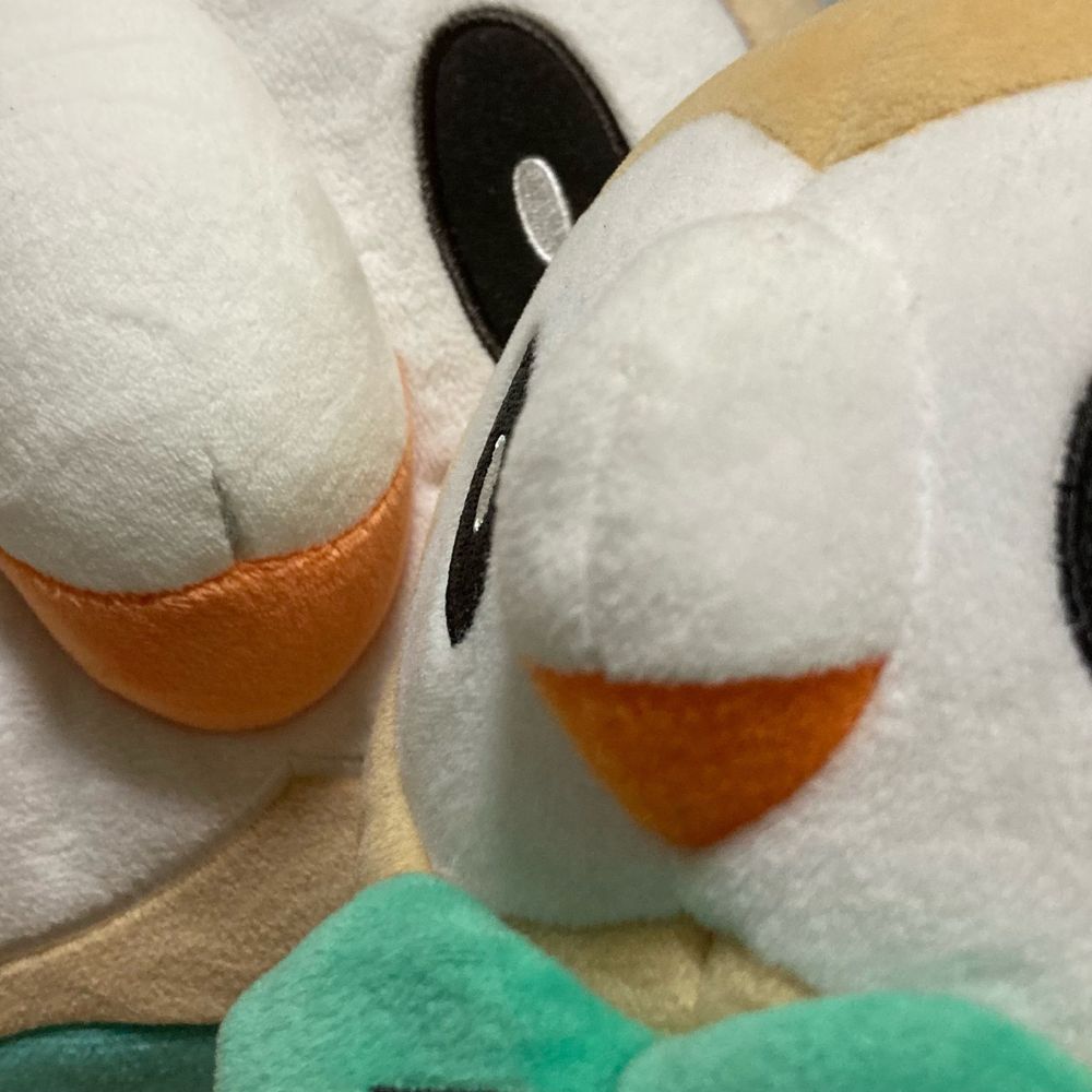 つねたろう