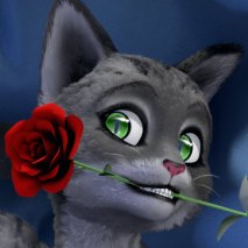 Tes kitty