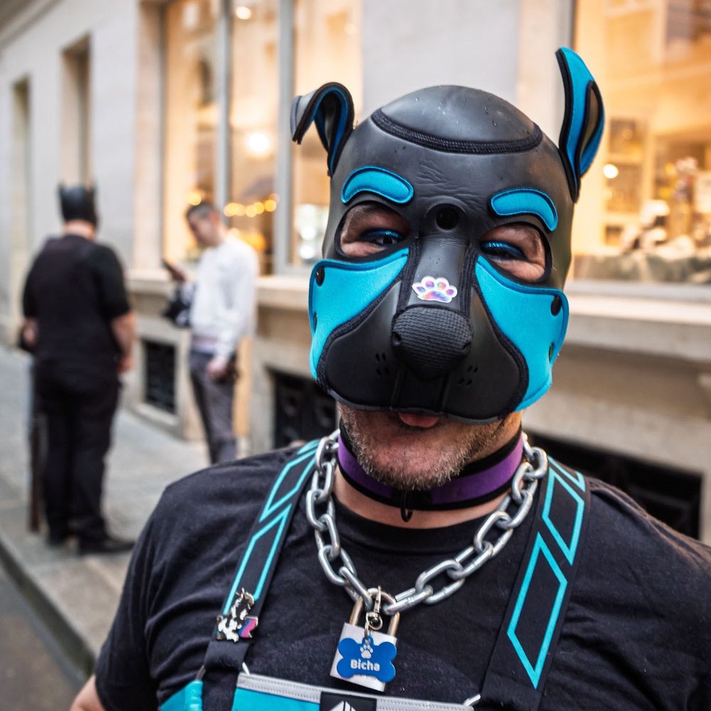Bicha Pup