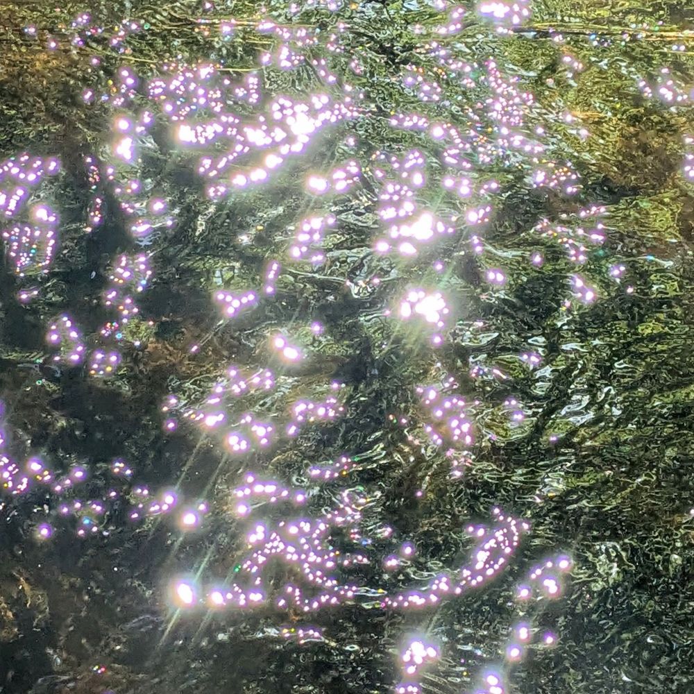 thelightbetween.bsky.social