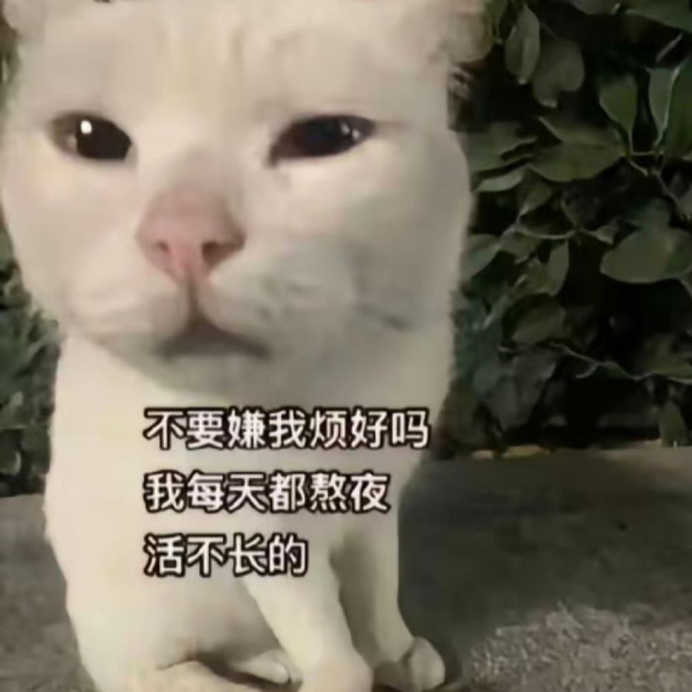komooo