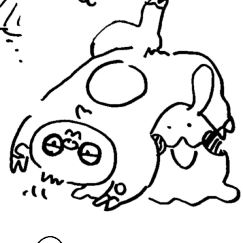 みずゐぬ