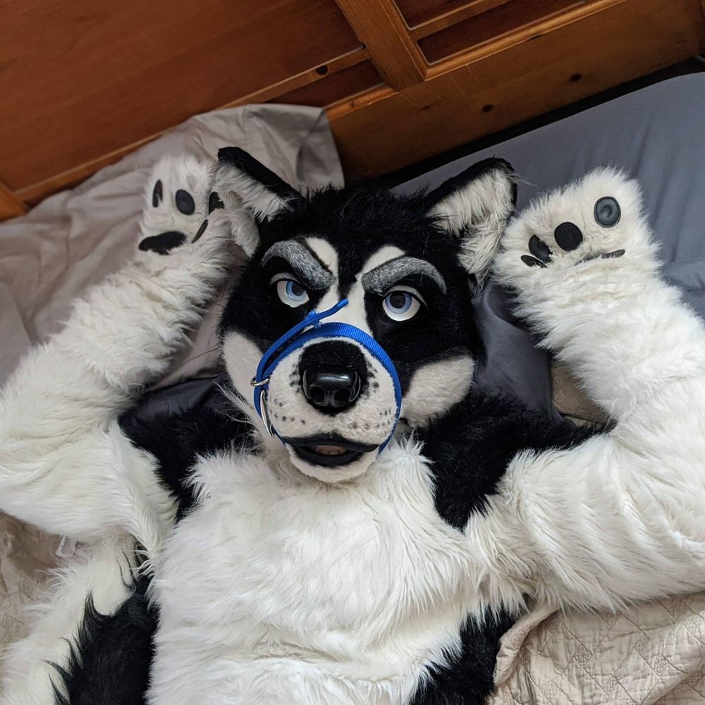 Nitrohusky 