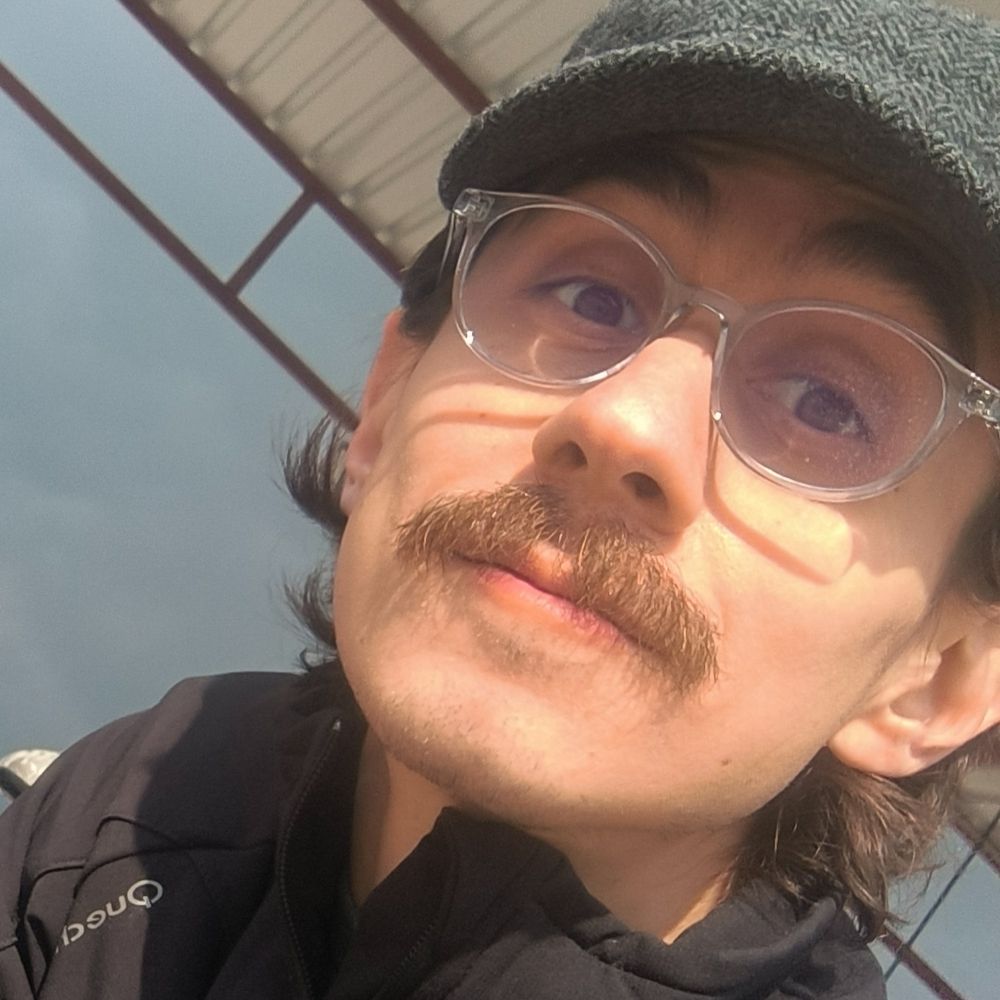 avi tekin