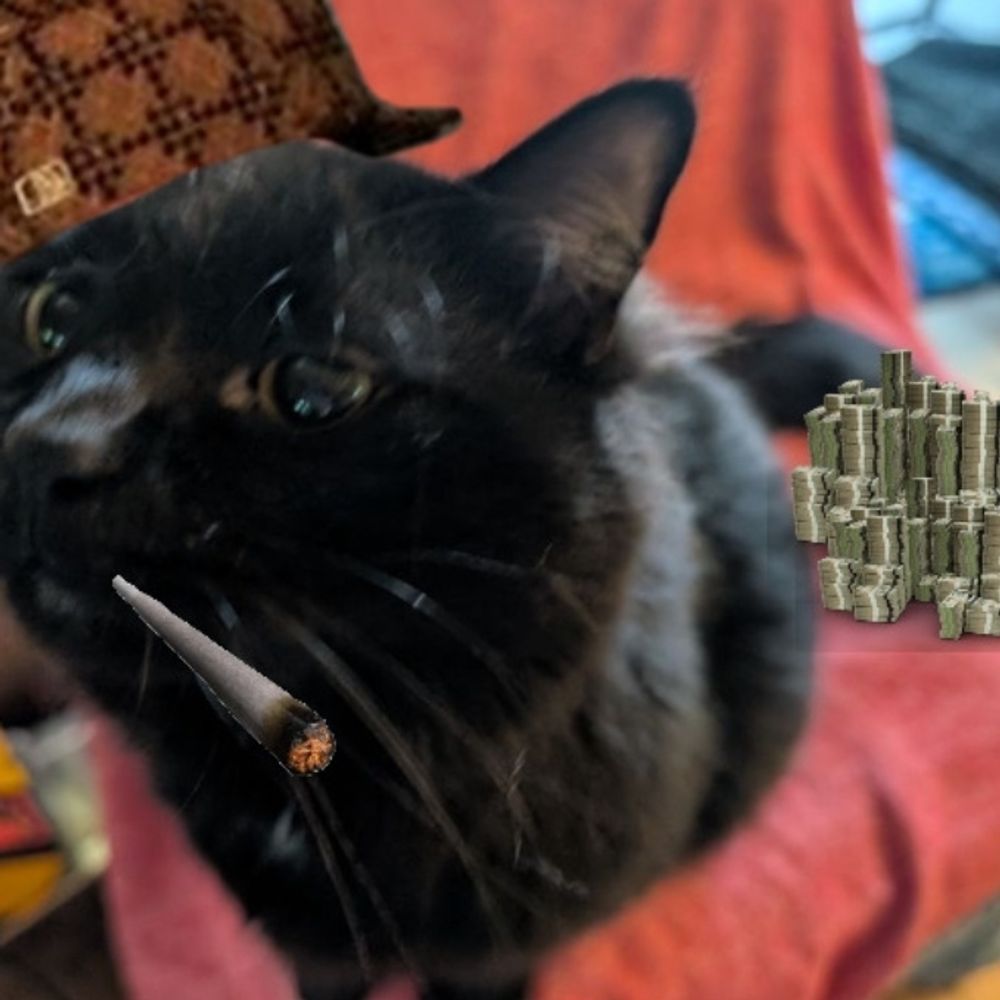 Kitty