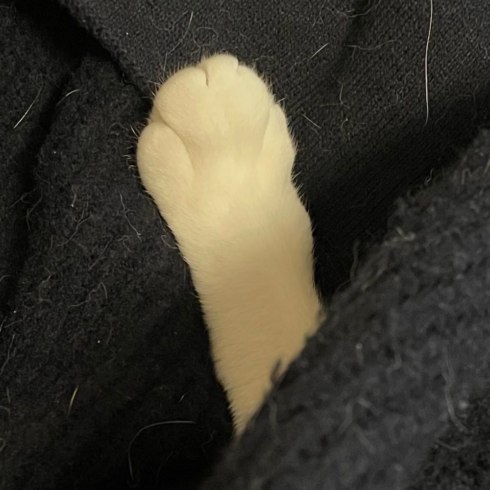 オレのみぎて