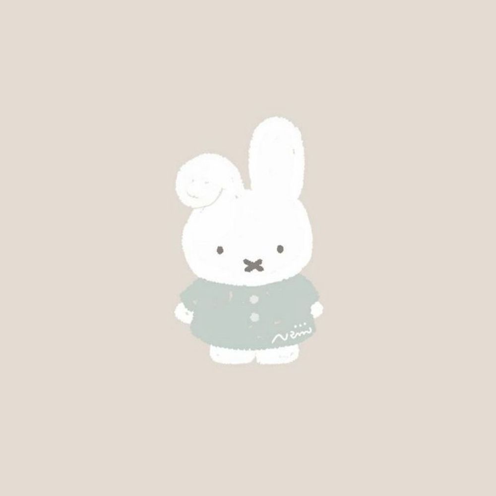のこ