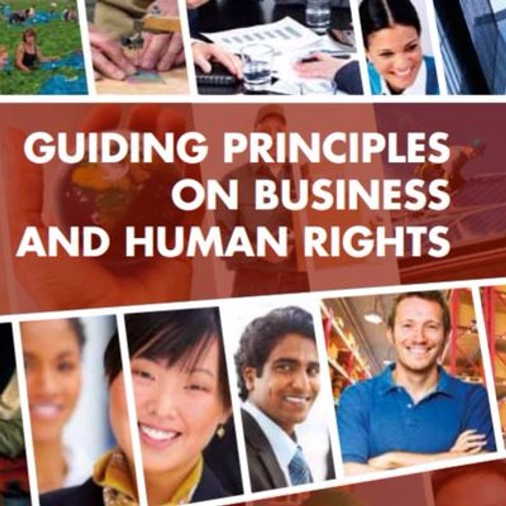 UN Working Group on business and human rights